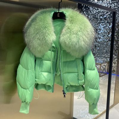 Green jacket