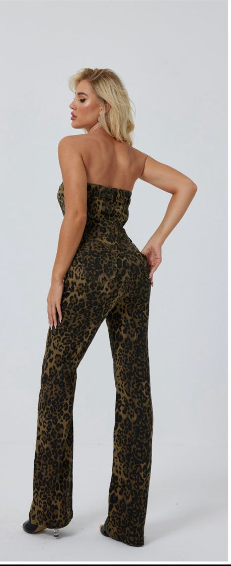 Nolita leopard