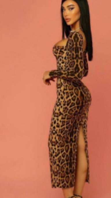 Stacy leopard dress